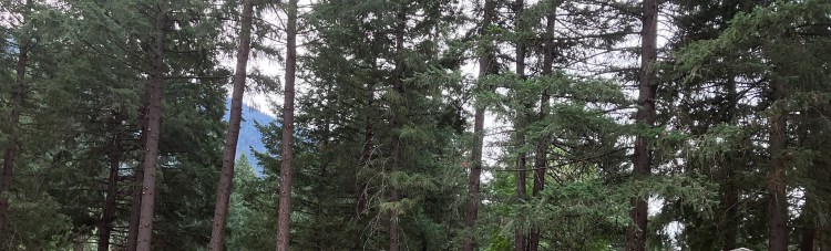 Panic working and Panic&nbsp;buying